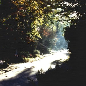 Morgenstimmung auf dem Havixbecker Friedhof