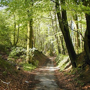 Landwehr 